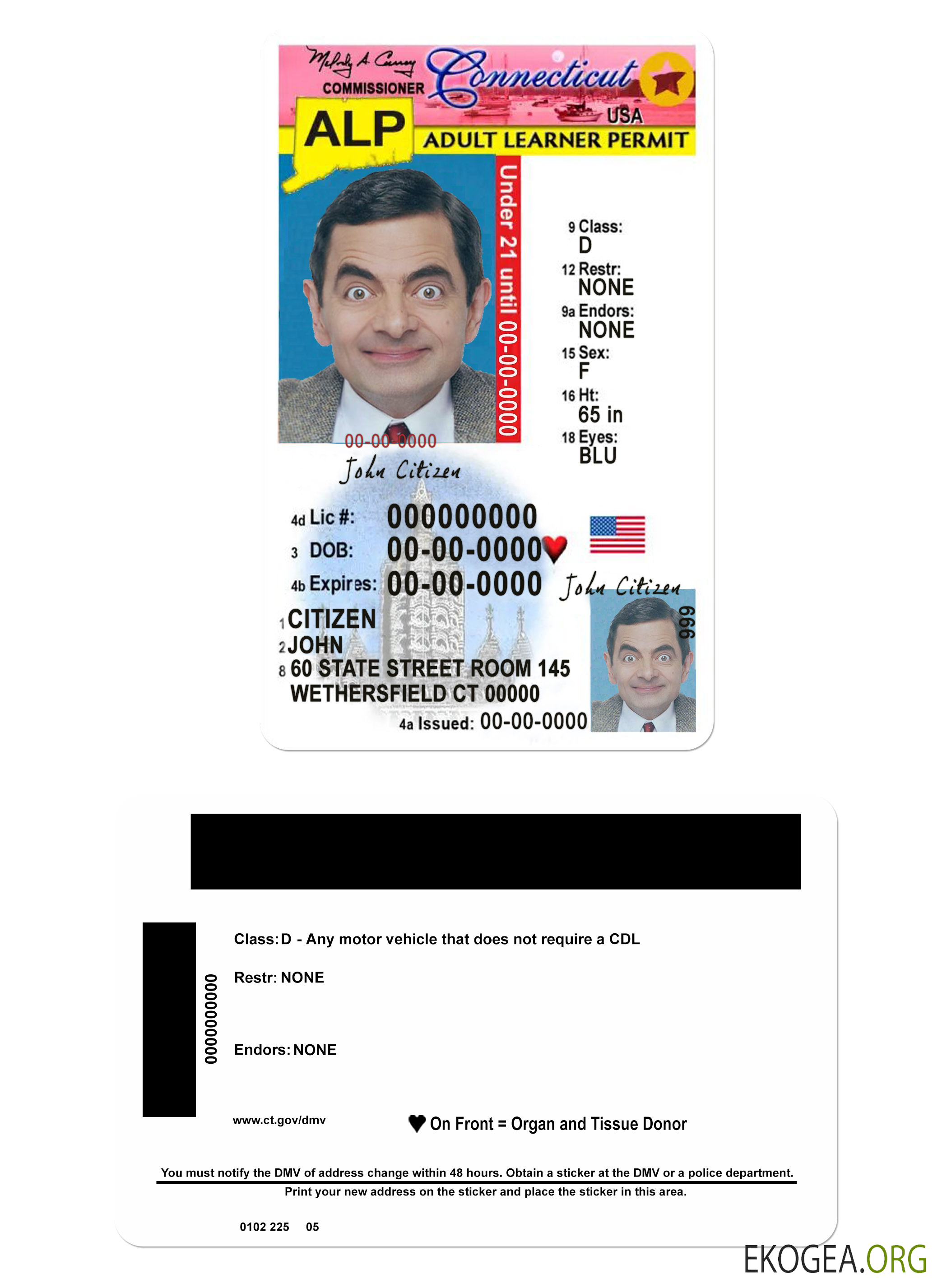 USA Connecticut driving license under 21